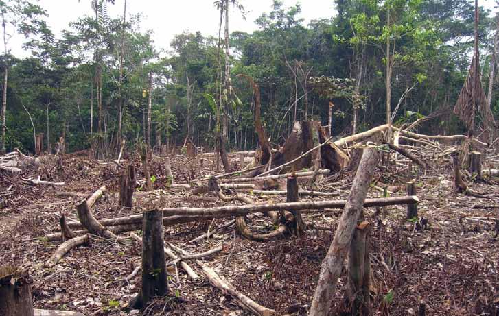 για το 32 / ΠΕΡΙΒΑΛΛΟΝ #96 ΦΕΒΡΟΥΑΡΙΟΣ - ΜΑΡΤΙΟΣ 2018 Ο Αμαζόνιος της Κολομβίας καταστρέφεται!