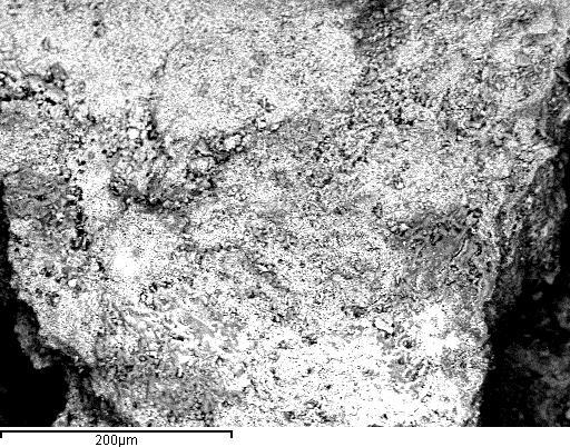 χαλκούχου σφαλερίτη (Cu Sph) όπως προέκυψαν από το ηλεκτρονικό μικροσκόπιο (SEM -