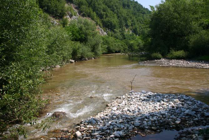 18 СЛИВ ГОЛИЈСКЕ МОРАВИЦЕ