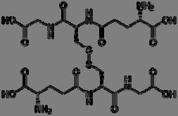 όπως το λιποϊκό οξύ, συμμετέχουν στην αναγέννηση αντιοξειδωτικών βιταμινών από τις οξειδωμένες τους μορφές (Serbinova et al., 1992). Α Β Εικόνα 1. Η GSH (A) και η GSSG (B).