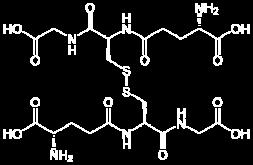 Το ασκορβικό οξύ, επίσης είναι μία υδατοδιαλυτή βιταμίνη δραστική τόσο στο εξωκυττάριο υγρό όσο και στο κυτταρόπλασμα.