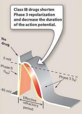 IB class anti-arrhythmics: Block Na