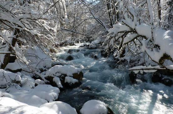 Долината на Мала Река природна област Зимски