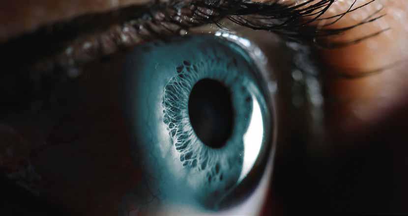 MultiSense Εξαιρετικά σαφής οπτική Непревзойденно четкий внешний вид Wyjątkowo przejrzysty wygląd Δεν είναι παρκέτο, δεν είναι laminate ούτε βινύλιο.