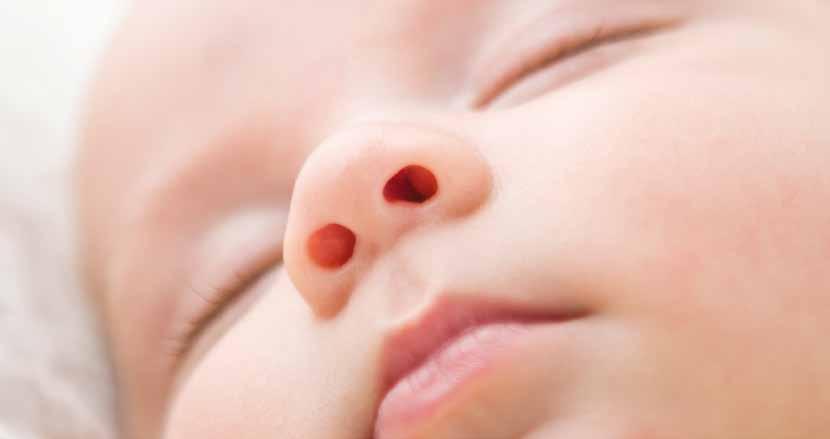 Πιστοποιημένη υγιεινή ζωή Подтвержденная сертификатом здоровая атмосфера в жилище Certyfikat zdrowego życia Αντοχή μακράς