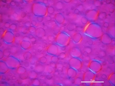што је претходно уочено код емулзија стабилисаних емулгатором INCI/Сetearyl glucoside&cetearyl alcohol М68аL2 и М68аL2N).