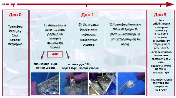 ћелије су испиране фосфатним пуфером и инкубиране у прописаном медијуму следећа 42 сата на 37 C.