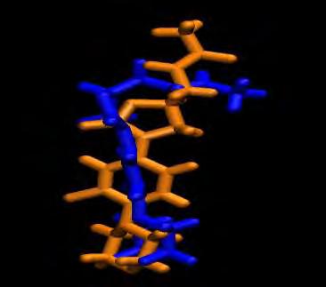 Εικόνα 42: Η ελεύθερη δομή της λινεζολίδης στο E. coli, όπως προέκυψε από την αυτόματη παραμετροποίηση.