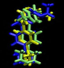 radiodurans, με κίτρινο η δομή στο H. marismortui και με πράσινο η δομή της λινεζολίδης στο E. coli, όπως προέκυψε από την αυτόματη παραμετροποίηση.