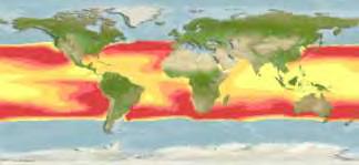Ατλαντικό στις ακτές της Ισπανίας, της Πορτογαλίας και της νότιας Αφρικής ενώ απουσιάζει από τη Μεσόγειο και τις Ελληνικές θάλασσες. Εικόνα 8. Γεωγραφική κατανομή του Thunnus obesus. (από www.