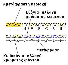 1 AATTTCTCACTGCCCCTGTGATAAACTGTGGTCACTGGCTGTGGCAGCAACTATTATAAG... 61 ATGCTCTGAAAACTCTTCAGACACTGAGGGGCACCAGAGGAGCAGACTACAAGAATGGCA.