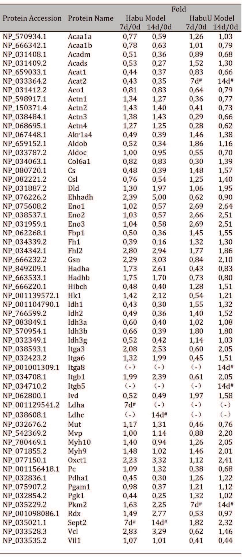 1771 To explore the molecular mechanisms in the two models, a proteomics analysis of glomeruli was performed. Based on in the two models.
