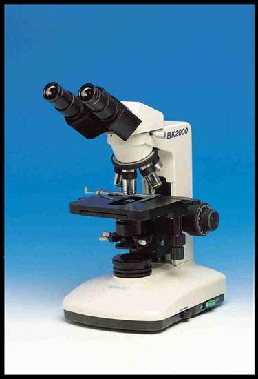 O microscopio óptico O microscopio óptico ten un limite