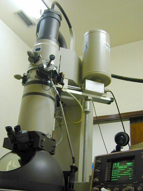 Microscopia electrónica
