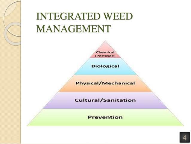 Εικόνα 5. Ολοκληρωμένη αντιμετώπιση ζιζανίων σημαίνει συνδυασμός όλων των μεθόδων αντιμετώπισης, με έμφαση στα μέτρα πρόληψης και λιγότερο συχνή τη χρήση ζιζανιοκτόνων (πηγή: http://www.weedscience.