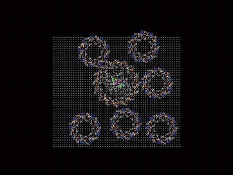 FRET Fluorescence Resonance Energy Transfer k DA R F ( ω) A ( ω) dω ω D A κ 6 4 Intensity Molecule