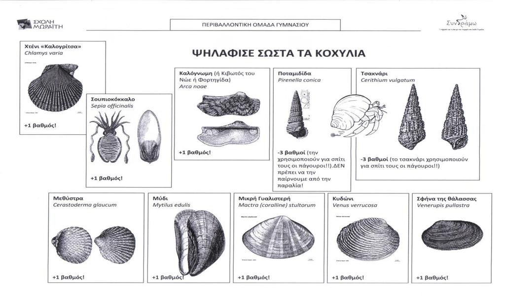 10 κοχφλια