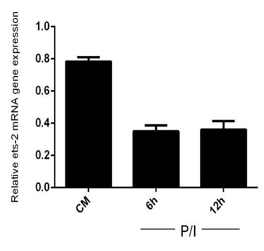 ΕΙΚΟΝΑ 21: Τα επίπεδα έκφρασης των Ets-2 και IL-2 mrna μετρήθηκαν με την χρήση real-time PCR σε Jurkat κύτταρα, τα οποία καλλιεργήθηκαν παρουσία ή απουσία μιτογόνων (P/I) για 6h και 12h.