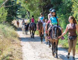 12-15 ετών Ποδήλατο Bουνού Εκδρομή με ποδήλατα στις όμορφες πλαγιές της Πάρνηθας.