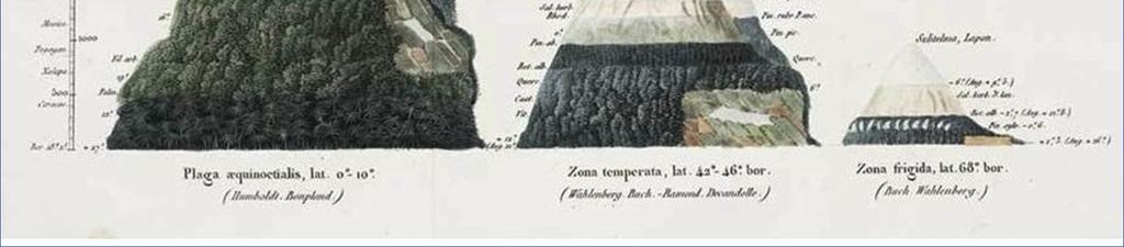 και κατά κανόνα με την αύξηση του υψομέτρου μειώνεται η συνολική έκταση κάθε