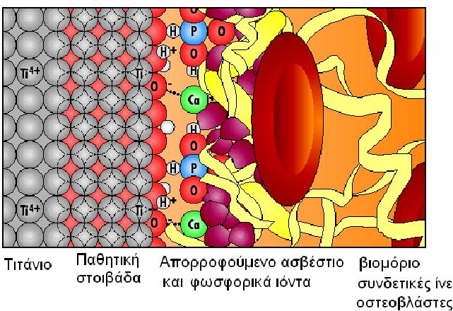 Τυπικές εφαρμογές τιτανίου Το μυστικό της επιτυχίας Δημιουργεί περιβάλλον κατάλληλο για προσρόφηση ασβεστίου