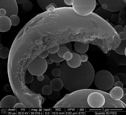 intregi Cavitatea microsferelor si porozitatea peretilor au fost de asemenea confirmate cu ajutorul procedeului de