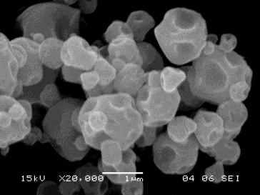 tratamentul termic la 900 C se observa in imaginile SEM (Figura 316) dezvoltarea de nanocristalite pe suprafata