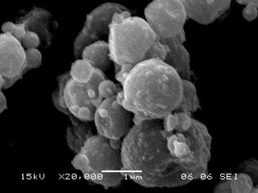 microsferelor trat term la 1100 C,,(c),(d), (d) 1, (d g ) 1