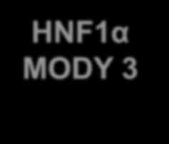HNF1α MODY 3 Η μοριακή διάγνωση του HNF1α διαβήτη είναι σημαντική, γιατί σε αυτή τη μορφή υπάρχει μεγάλη