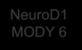 NeuroD1 MODY 6 Αποτελεί μεταγραφικό παράγοντα που διαδραματίζει σημαντικό ρόλο