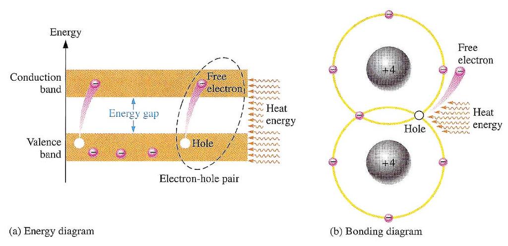 Các điện tử tự do được gọi là các điện tử dẫn (conduction electrons). Sự kiện này được trình bày trong giản đồ năng lượng (energy diagram) và giản đồ nối cộng hóa trị (bonding diagram) trong hình H8.