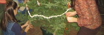Јавно кићење јелки са бусеном Такмичење је одржано 21.12.2006. године, у 11 часова, на првом спрату СПЦ "Војводина".