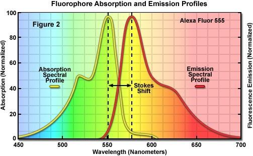 Apsorpcioni i fluorescentni spektar