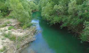 Ακόμη, θα παραχθούν χάρτες με τις δυνητικές εξαπλώσεις των ειδών ανά εποχή του έτους και θα προσδιοριστεί η καταλληλότητα των ενδιαιτημάτων από την κατανομή της αφθονίας των ειδών σε αυτά.