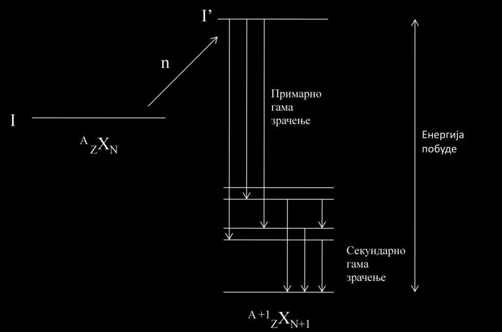 Глава III Неутронски процеси Слика 3.1. Шематски приказ процеса захвата ниско енергетских неутрона након чега долази до емисије гама фотона.
