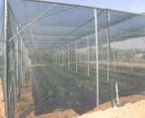 ανταλλαγών μάζας καλλιέργειας πιπεριάς σε διχτυοκήπιο»