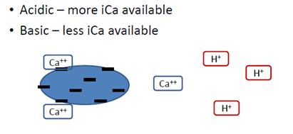 ica 2+, mmol/l ΠΩΣ ΕΠΗΡΕΑΖΟΝΤΑΙ ΤΑ ΕΠΙΠΕΔΑ ΑΣΒΕΣΤΙΟΥ ΣΤΟ ΑΙΜΑ; Το ολικό ασβέστιο επηρεάζεται από την αλβουμίνη Ca 2+ διορθωμένο = Ca