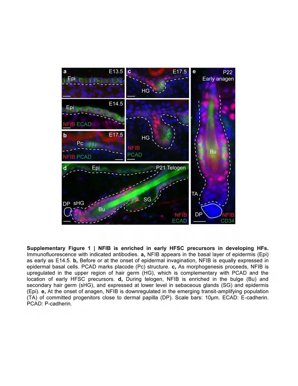 doi:10.