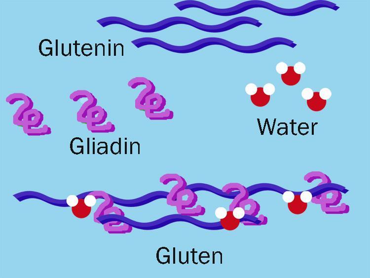 γλουτένη