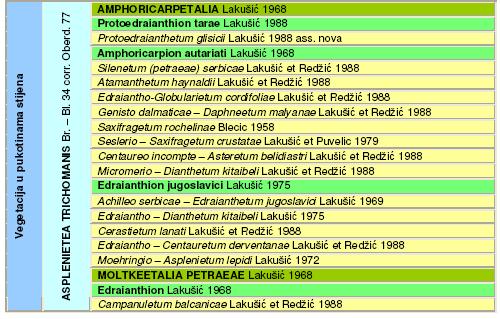 Слика 11 Синтаксономски преглед заједница на реликтно-рефугијалним стаништима сливног подручја ријеке Дрине Флора ширег подручја Од укупног биљног