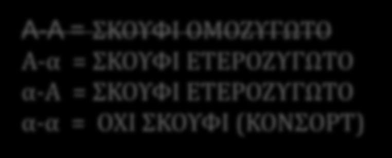 - 1 Υαινοτυπική