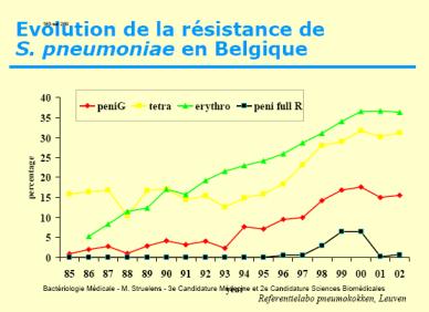 durans, etc Caractere morfo-biologice: coci ovoizi, gram+, dispuşi în perechi sau lanţuri scurte. Anaerobi facultativi.