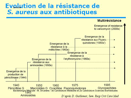 Determinarea antibiogramei este obligatorie (tulpini multirezistente).