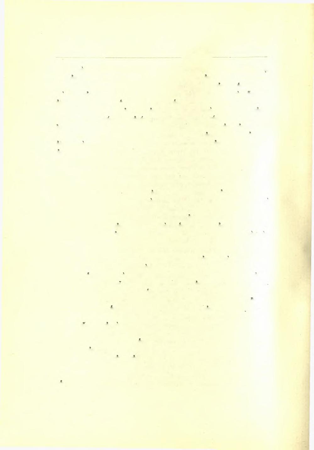 94 Πρακτικά τής 'Αρχαιολογικής Εταιρείας 1929 δμοια προς τά τών άλλων χασμάτων τής μεταγενεστέρας τέχνης έν Μυστρά, τών αρχών τοΰ ΙΕ' αΐώνος (Παντανάσσης, μικρών εκκλησιών, οικημάτων).