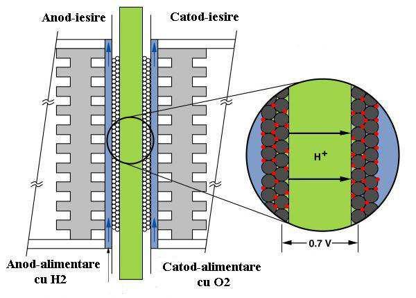 ! =!"#$!&#$ (III.5) În cazul unei pile de combustie, E celulă potențialului electrochimic dintre cei doi electrozi. reprezintă de fapt variația III.2.