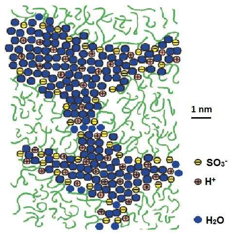sub denumirea de Nafion (fig. III.4) [13]. Protonii asociați cu moleculel de apă traversează nanoporii plini cu apă ai membranei în prezența gruparilor sulfonice [13]. Fig. III.4. Structura chimică a Nafion-ului [13].