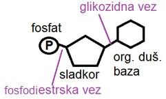 hranilo (več kot hrana) nekaj kar hrani tvoje življenjske procese presežki: - rastline: škrob, (lipidi) -glive: glikogen -človek: lipidi, (glikogen) 2.