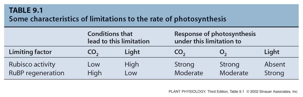 V intaktnem listu so za optimalno fotosintezo na metaboličnem nivoju pomembni trije dejavniki 1. aktivnost encima Rubisco 2.
