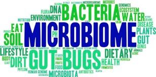 ΤΙ ΘΑ ΜΑΘΟΥΜΕ. Εισαγωγή στη Μικροβιολογία: Μικροοργανισµοί. Μικροοργανισµοί και Μικροβιολόγοι.
