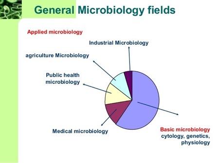 ΕΙΣΑΓΩΓΗ ΣΤΗ ΜΙΚΡΟΒΙΟΛΟΓΙΑ Μικροβιολογία είναι ο κλάδος της επιστήµης που ασχολείται µε τη µελέτη των µικροοργανισµών (βακτήρια, ιοί, παράσιτα, µύκητες), την βιολογία